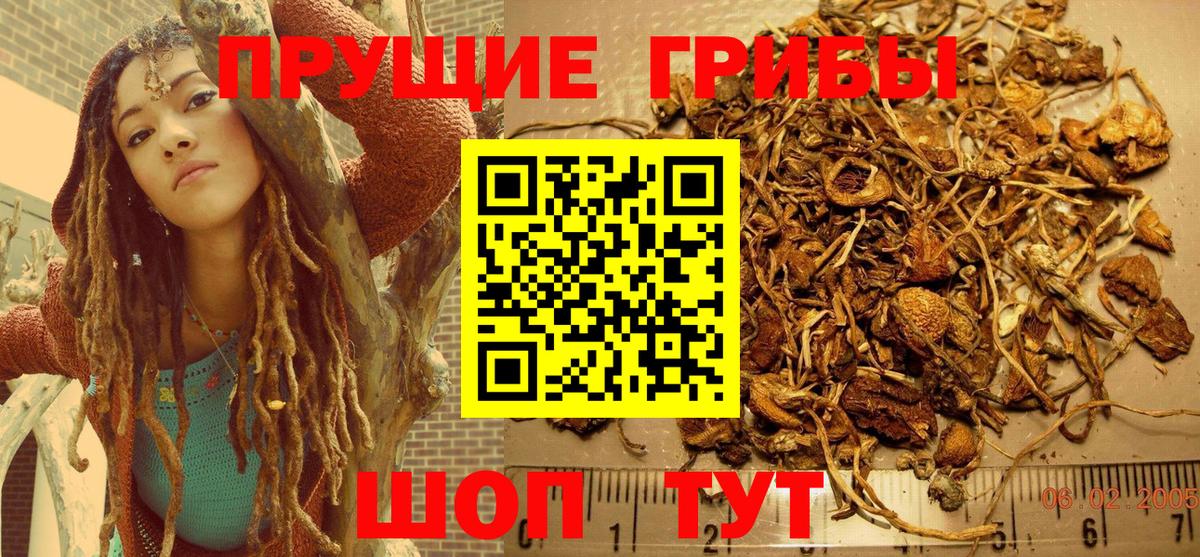 Псилоцибиновые грибы MAGIC MUSHROOMS  Псилоцибиновые грибы ЛСД  Лосино-Петровский  Вход с VPN 