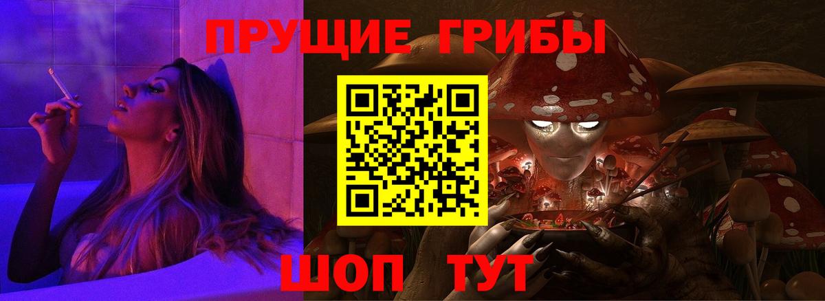Псилоцибиновые грибы мицелий Лосино-Петровский