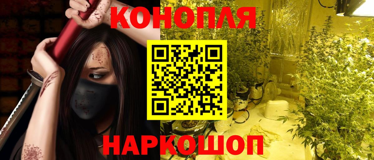 Шишки марихуана марихуана Лосино-Петровский